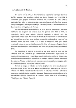 17


  3.2 Julgamento de Zebuínos


         De acordo com a ABCZ, o Departamento de Julgamento das Raças Zebuínas
(DJRZ), sucessor dos anteriores Colégio de Juízes fundado em 19/08/1974, é
coordenado pela própria Associação Brasileira dos Criadores de Zebu (ABCZ),
responsável por todos os julgamentos das raças zebuínas do país. Funciona junto ao
Serviço de Registro Genealógico das Raças Zebuínas (SRGRZ) e está subordinado ao
Superintendente do Departamento Técnico.
         Ao longo de sete décadas de seleção, as raças zebuínas passaram por diferentes
morfologias até chegarem ao conceito atual. No período entre 1938 a 1960, os
julgamentos tiveram como objetivo identificar raçadores e matrizes com alta
superioridade em tipo racial. Até meados de década de 70 procuravam-se indivíduos com
alto potencial de ganho em peso, período em que foi estabelecido o “new type” ou
“moderno novilho de corte”. Entre 1970 e 1980, a imagem do “new type” estava
consolidada e durante esse período buscou-se identificar animais com alto potencial de
ganho em peso, de estatura elevada e peso final muito alto (tipo longilíneo) (JOSAHKIAN,
2007).
         Na década de 90 inicia-se o conceito de que só o ganho de peso não era
suficiente, mas sim, indivíduos que combinassem características reprodutivas, de
crescimento, de acabamento e maturidade sexual. Atualmente, prioriza-se biotipos mais
harmoniosos nas características econômicas de interesse, visando aumentar a eficiência
dos zebuínos. A busca por biotipos mais precoces redireciona os julgamentos para, além
de características raciais, morfologias mais produtivas.
         Durante o estágio os métodos e critérios de julgamento foram estudados com
auxílio da apostila técnica “Curso de Noções em Morfologia e Julgamento de Zebuínos”
utilizada pela ABCZ, onde são abordados exterior de zebuínos, métodos e critérios de
julgamento, avaliação do tipo e padrões das raças. O exercício prático de julgamento foi
realizado na Exposição Agropecuária de Londrina, Paraná, onde o Dr. William Koury
Filho julgou a raça Tabapuã (Figura 8).
 