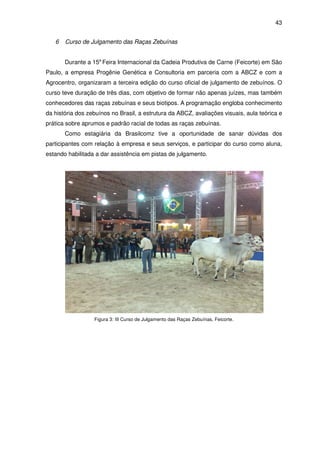 43


   6   Curso de Julgamento das Raças Zebuínas


       Durante a 15a Feira Internacional da Cadeia Produtiva de Carne (Feicorte) em São
Paulo, a empresa Progênie Genética e Consultoria em parceria com a ABCZ e com a
Agrocentro, organizaram a terceira edição do curso oficial de julgamento de zebuínos. O
curso teve duração de três dias, com objetivo de formar não apenas juízes, mas também
conhecedores das raças zebuínas e seus biotipos. A programação engloba conhecimento
da história dos zebuínos no Brasil, a estrutura da ABCZ, avaliações visuais, aula teórica e
prática sobre aprumos e padrão racial de todas as raças zebuínas.
       Como estagiária da Brasilcomz tive a oportunidade de sanar dúvidas dos
participantes com relação à empresa e seus serviços, e participar do curso como aluna,
estando habilitada a dar assistência em pistas de julgamento.




                  Figura 3: III Curso de Julgamento das Raças Zebuínas, Feicorte.
 