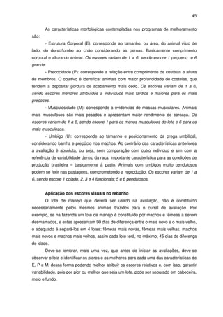 45


       As características morfológicas contempladas nos programas de melhoramento
são:
       - Estrutura Corporal (E): corresponde ao tamanho, ou área, do animal visto de
lado, do dorso/lombo ao chão considerando as pernas. Basicamente comprimento
corporal e altura do animal. Os escores variam de 1 a 6, sendo escore 1 pequeno e 6
grande.
       - Precocidade (P): corresponde a relação entre comprimento de costelas e altura
de membros. O objetivo é identificar animais com maior profundidade de costelas, que
tendem a depositar gordura de acabamento mais cedo. Os escores variam de 1 a 6,
sendo escores menores atribuídos a indivíduos mais tardios e maiores para os mais
precoces.
       - Musculosidade (M): corresponde a evidencias de massas musculares. Animais
mais musculosos são mais pesados e apresentam maior rendimento de carcaça. Os
escores variam de 1 a 6, sendo escore 1 para os menos musculosos do lote e 6 para os
mais musculosos.
       - Umbigo (U): corresponde ao tamanho e posicionamento da prega umbilical,
considerando bainha e prepúcio nos machos. Ao contrário das características anteriores
a avaliação é absoluta, ou seja, sem comparação com outro indivíduo e sim com a
referência de variabilidade dentro da raça. Importante característica para as condições de
produção brasileira – basicamente à pasto. Animais com umbigos muito pendulosos
podem se ferir nas pastagens, comprometendo a reprodução. Os escores variam de 1 a
6, sendo escore 1 colado; 2, 3 e 4 funcionais; 5 e 6 pendulosos.


       Aplicação dos escores visuais no rebanho
       O lote de manejo que deverá ser usado na avaliação, não é constituído
necessariamente pelos mesmos animais trazidos para o curral de avaliação. Por
exemplo, se na fazenda um lote de manejo é constituído por machos e fêmeas a serem
desmamados, e estes apresentam 90 dias de diferença entre o mais novo e o mais velho,
o adequado é separá-los em 4 lotes: fêmeas mais novas, fêmeas mais velhas, machos
mais novos e machos mais velhos, assim cada lote terá, no máximo, 45 dias de diferença
de idade.
       Deve-se lembrar, mais uma vez, que antes de iniciar as avaliações, deve-se
observar o lote e identificar os piores e os melhores para cada uma das características de
E, P e M, dessa forma podendo melhor atribuir os escores relativos e, com isso, garantir
variabilidade, pois por pior ou melhor que seja um lote, pode ser separado em cabeceira,
meio e fundo.
 