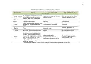 53



                                   Tabela 2: Principais diferenças no padrão racial da raça Cangaian.

  Característica                   IDEAIS                           PERMISSÍVEIS                          QUE DESCLASSIFICAM
                                                            CANGAIAN
                 De cinza clara a cinza escuro, com            Manchas brancas, nas fêmeas;             Branca, nos machos. Outra
1 Cor da pelagem extremidades quase negras, nos
                                                               mesmo na cara                            cor que não seja a cinza
                 machos. Mais claro, nas fêmeas.
2 Perfil da
cabeça           Ligeiramente convexo                          Retilíneo                                Concavilíneo
                   Larga, comdepressão entre os olhos
3 Fronte           e a marrafa, principalmente nos    Nimbure pouco acentuado                           Nimbure.
                   touros.
4 Chanfro          Reto.                                       Longo ou largo.                          Desvio, depressão ou
                                                                                                        acarneirado.
5 Orelhas          Pequenas, terminadas em pontas.             Médias.                                  Grandes e pendulares.

                   Simétricos. Fortes e grossos nos
                   machos. Nascem bem próximos
                                                        Com regiões claras.
                   encurvando-se para fora, para trás e                                                 Curtos. Dirigidos para os
6 Chifres                                               Extremidades um pouco
                   para frente, formando um meio                                                        lados ou para trás.
                                                        afastadas. Ligeira assimetria.
                   circulo e aproximando as
                   extremidades. Mais fino e mais
                   longo, nas fêmeas.
                     Fonte: Adaptado da Apostila Técnica do Curso de Noções em Morfologia e Julgamento de Zebuínos, 2007.
 