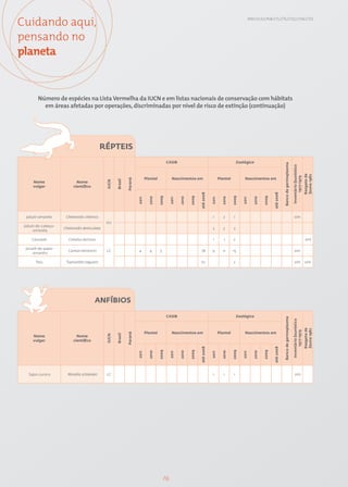 Cuidando aqui,                                                                                                                                                     EN15; EU13; PG8; CT1; CT5; CT12; CT14; CT15




pensando no
planeta


        Número de espécies na Lista Vermelha da IUCN e em listas nacionais de conservação com hábitats
          em áreas afetadas por operações, discriminadas por nível de risco de extinção (continuação)




                                              RÉPTEIS
                                                                                                CASIB                                                    Zoológico




                                                                                                                                                                                               Banco de germoplasma

                                                                                                                                                                                                                      Inventário faunístico

                                                                                                                                                                                                                                              Resgate de
                                                                                                                                                                                                                                              fauna 1982
                                                                                                                                                                                                                           1977-1979
                                                                               Plantel              Nascimentos em                        Plantel            Nascimentos em
                                                               Paraná
                                                      Brasil
                                               IUCN




      Nome                   Nome
      vulgar               científico



                                                                                                                        até 2008




                                                                                                                                                                                    até 2008
                                                                                         2009




                                                                                                                 2009




                                                                                                                                                    2009




                                                                                                                                                                             2009
                                                                                 2010




                                                                                                          2010




                                                                                                                                            2010




                                                                                                                                                                      2010
                                                                        2011




                                                                                                   2011




                                                                                                                                   2011




                                                                                                                                                            2011
  Jabuti-amarelo      Chelonoidis chilensis                                                                                         1        2       1                                                                  sim
                                               VU
 Jabuti-de-cabeça-
                     Chelonoidis denticulata                                                                                        3        3       3
     -amarela

     Cascavel           Crotalus durissus                                                                                           1        1       2                                                                                         sim

 Jacaré-de-papo-
                       Caiman latirostris      LC                       4        4        5                              78        9        11      15                                                                  sim
     -amarelo

       Teiu           Tupinambis teguixin                                                                               10                           2                                                                  sim                    sim




                                        ANFÍBIOS

                                                                                                CASIB                                                    Zoológico
                                                                                                                                                                                               Banco de germoplasma

                                                                                                                                                                                                                      Inventário faunístico

                                                                                                                                                                                                                                              Resgate de
                                                                                                                                                                                                                                              fauna 1982
                                                                                                                                                                                                                           1977-1979




                                                                               Plantel              Nascimentos em                        Plantel            Nascimentos em
                                                               Paraná
                                                      Brasil
                                               IUCN




      Nome                   Nome
      vulgar               científico
                                                                                                                        até 2008




                                                                                                                                                                                    até 2008
                                                                                         2009




                                                                                                                 2009




                                                                                                                                                    2009




                                                                                                                                                                             2009
                                                                                 2010




                                                                                                          2010




                                                                                                                                            2010




                                                                                                                                                                      2010
                                                                        2011




                                                                                                   2011




                                                                                                                                   2011




                                                                                                                                                            2011




   Sapo-cururu         Rhinella schneideri     LC                                                                                   1        1       1                                                                   sim




                                                                                              76
 