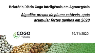 Relatório Diário Cogo Inteligência em Agronegócio
Algodão: preços da pluma estáveis, após
acumular fortes ganhos em 2020
19/11/2020
 