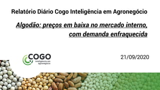 Relatório Diário Cogo Inteligência em Agronegócio
Algodão: preços em baixa no mercado interno,
com demanda enfraquecida
21/09/2020
 