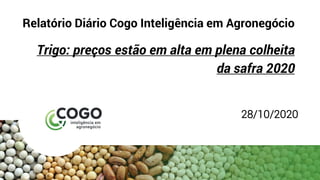 Relatório Diário Cogo Inteligência em Agronegócio
Trigo: preços estão em alta em plena colheita
da safra 2020
28/10/2020
 