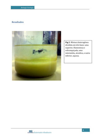 Biologia-Geologia

Resultados

Fig 2- Mistura heterogénea
dividida em três fases: uma
superior, filamentosa e
esbranquiçada, uma
intermédia, alcoólica, e outra
inferior, aquosa.

8

Externato ribadouro

 