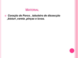 MATERIAL
    Coração de Porco , tabuleiro de dissecção
    ,bisturi ,vareta ,pinças e luvas.
 