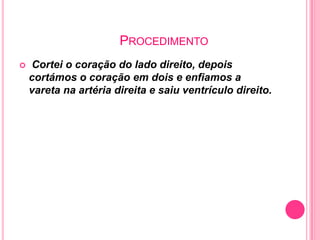 PROCEDIMENTO
   Cortei o coração do lado direito, depois
    cortámos o coração em dois e enfiamos a
    vareta na artéria direita e saiu ventrículo direito.
 