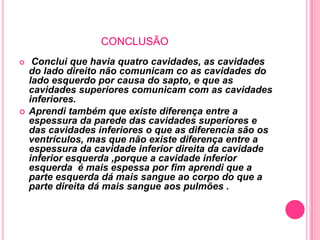 CONCLUSÃO
    Conclui que havia quatro cavidades, as cavidades
    do lado direito não comunicam co as cavidades do
    lado esquerdo por causa do sapto, e que as
    cavidades superiores comunicam com as cavidades
    inferiores.
   Aprendi também que existe diferença entre a
    espessura da parede das cavidades superiores e
    das cavidades inferiores o que as diferencia são os
    ventrículos, mas que não existe diferença entre a
    espessura da cavidade inferior direita da cavidade
    inferior esquerda ,porque a cavidade inferior
    esquerda é mais espessa por fim aprendi que a
    parte esquerda dá mais sangue ao corpo do que a
    parte direita dá mais sangue aos pulmões .
 