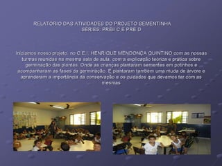 Relatorio do projeto sementinha