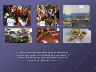 Relatorio do projeto sementinha