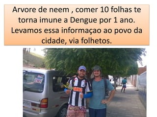 Arvore de neem , comer 10 folhas te
torna imune a Dengue por 1 ano.
Levamos essa informaçao ao povo da
cidade, via folhetos.
 