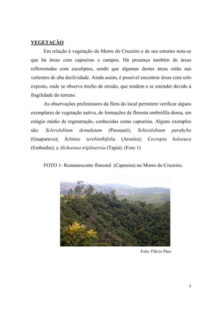 VEGETAÇÃO
       Em relação à vegetação do Morro do Cruzeiro e de seu entorno nota-se
que há áreas com capoeiras e campos. Há presença também de áreas
reflorestadas com eucaliptos, sendo que algumas destas áreas estão nas
vertentes de alta declividade. Ainda assim, é possível encontrar áreas com solo
exposto, onde se observa trecho de erosão, que tendem a se estender devido à
fragilidade do terreno.
       As observações preliminares da flora do local permitem verificar alguns
exemplares de vegetação nativa, de formações de floresta ombrófila densa, em
estágio médio de regeneração, conhecidas como capoeiras. Alguns exemplos
são:   Sclerolobium       denudatum    (Passuaré);    Schizolobium         parahyba
(Guapuruvu);     Schinus    terebinthifolia   (Aroeira);   Cecropia        holoeuca
(Embaúba); e Alchornea triplinervia (Tapiá). (Foto 1)


       FOTO 1- Remanescente florestal (Capoeira) no Morro do Cruzeiro.




                                                       Foto: Flávio Paes




                                                                                  5
 