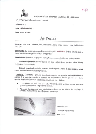 r"LF
                            AGRUPAMENTO DE ESCOLAS DE ALCANENA
                                                                         -   EB   2,3 DEMINDE
 REI.ATÓRIO DE CIÊNCIAS DA NATUREZA

 Relatório ne 2

 Data: 10 de Novembro

 Hora:8.30- 10.00h

                                     /t     Ì
                                    ÉIS T'ENAS
Material : uma lupa, L caixa de petri, 1 tabuleiro, L conta-gotas,   t pena, 1 caixa de fósforos e
uma vela.

Constituicão das oenas: As penas são constítuídas por - kárbuhe*ar
                                                                   barbas, cálamo, eixo ou
raquis, bárbula entrelaçada e bárbula com ganchos.

Procedimento: Formação de grupos e realização de duas experiências que consistiram
                                                                                   em:
       Primeira experiência: molhar a pena em água e observámos que
                                                                    esta não a deixava
passar, pois é impermeável.

     segunda experiência: acender uma vela, meter a pena à frente da
                                                                     boca e soprar para a
chama da vela que continuou sempre acesa .

  conclusão : Quando fiz a primeira experiênciarobservei que as penas
                                                                          são impermeáveis e
quando fiz a segunda experiéncía observei que as penas não
                                                                   deixam passar o ar. Neste
sentido, posso concluir que as aves estão protegidas do frio e da água.

   o        As penas das asas das aves são IMPERMEAVEIS à AGUA porque têm                       uma
       gordura que não deixa a água entrar na pena.

   I   As penas das asas das aves são IMPERMEÁVEIS ao AR porque têm uns ,pêlos,,
       (Barbas)   muito juntinhos que não deixam passar o ar.




                                                           Elaborado por     :



                                                            Beatriz Marques patita

                                                           5eE   ne3
 