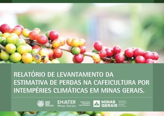 RELATÓRIO DE LEVANTAMENTO DA
ESTIMATIVA DE PERDAS NA CAFEICULTURA POR
INTEMPÉRIES CLIMÁTICAS EM MINAS GERAIS.
 