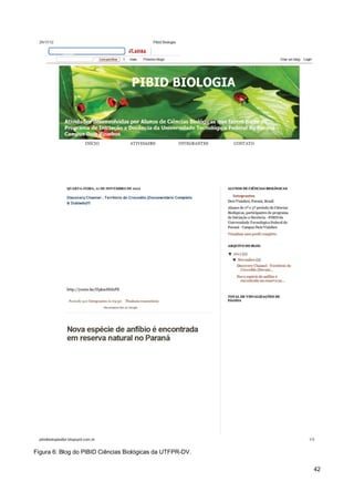 Figura 6: Blog do PIBID Ciências Biológicas da UTFPR-DV.

                                                           42
 