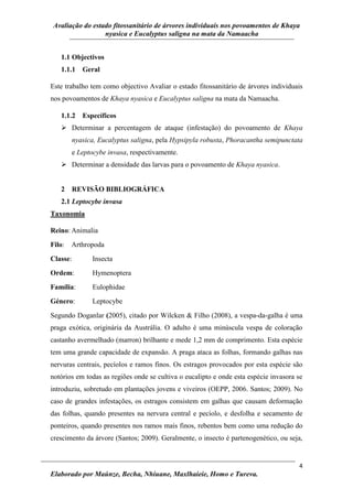 Avaliação do estado fitossanitário de árvores individuais nos povoamentos de Khaya
nyasica e Eucalyptus saligna na mata da Namaacha
4
Elaborado por Maúnze, Becha, Nhiuane, Maxlhaieie, Homo e Tureva.
1.1 Objectivos
1.1.1 Geral
Este trabalho tem como objectivo Avaliar o estado fitossanitário de árvores individuais
nos povoamentos de Khaya nyasica e Eucalyptus saligna na mata da Namaacha.
1.1.2 Específicos
 Determinar a percentagem de ataque (infestação) do povoamento de Khaya
nyasica, Eucalyptus saligna, pela Hypsipyla robusta, Phoracantha semipunctata
e Leptocybe invasa, respectivamente.
 Determinar a densidade das larvas para o povoamento de Khaya nyasica.
2 REVISÃO BIBLIOGRÁFICA
2.1 Leptocybe invasa
Taxonomia
Reino: Animalia
Filo: Arthropoda
Classe: Insecta
Ordem: Hymenoptera
Família: Eulophidae
Género: Leptocybe
Segundo Doganlar (2005), citado por Wilcken & Filho (2008), a vespa-da-galha é uma
praga exótica, originária da Austrália. O adulto é uma minúscula vespa de coloração
castanho avermelhado (marron) brilhante e mede 1,2 mm de comprimento. Esta espécie
tem uma grande capacidade de expansão. A praga ataca as folhas, formando galhas nas
nervuras centrais, pecíolos e ramos finos. Os estragos provocados por esta espécie são
notórios em todas as regiões onde se cultiva o eucalipto e onde esta espécie invasora se
introduziu, sobretudo em plantações jovens e viveiros (OEPP, 2006. Santos; 2009). No
caso de grandes infestações, os estragos consistem em galhas que causam deformação
das folhas, quando presentes na nervura central e pecíolo, e desfolha e secamento de
ponteiros, quando presentes nos ramos mais finos, rebentos bem como uma redução do
crescimento da árvore (Santos; 2009). Geralmente, o insecto é partenogenético, ou seja,
 