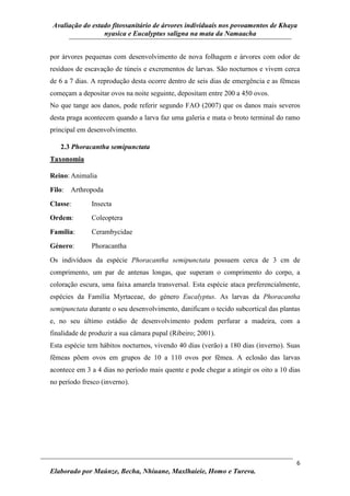 Avaliação do estado fitossanitário de árvores individuais nos povoamentos de Khaya
nyasica e Eucalyptus saligna na mata da Namaacha
6
Elaborado por Maúnze, Becha, Nhiuane, Maxlhaieie, Homo e Tureva.
por árvores pequenas com desenvolvimento de nova folhagem e árvores com odor de
resíduos de escavação de túneis e excrementos de larvas. São nocturnos e vivem cerca
de 6 a 7 dias. A reprodução desta ocorre dentro de seis dias de emergência e as fêmeas
começam a depositar ovos na noite seguinte, depositam entre 200 a 450 ovos.
No que tange aos danos, pode referir segundo FAO (2007) que os danos mais severos
desta praga acontecem quando a larva faz uma galeria e mata o broto terminal do ramo
principal em desenvolvimento.
2.3 Phoracantha semipunctata
Taxonomia
Reino: Animalia
Filo: Arthropoda
Classe: Insecta
Ordem: Coleoptera
Família: Cerambycidae
Género: Phoracantha
Os indivíduos da espécie Phoracantha semipunctata possuem cerca de 3 cm de
comprimento, um par de antenas longas, que superam o comprimento do corpo, a
coloração escura, uma faixa amarela transversal. Esta espécie ataca preferencialmente,
espécies da Família Myrtaceae, do género Eucalyptus. As larvas da Phoracantha
semipunctata durante o seu desenvolvimento, danificam o tecido subcortical das plantas
e, no seu último estádio de desenvolvimento podem perfurar a madeira, com a
finalidade de produzir a sua câmara pupal (Ribeiro; 2001).
Esta espécie tem hábitos nocturnos, vivendo 40 dias (verão) a 180 dias (inverno). Suas
fêmeas põem ovos em grupos de 10 a 110 ovos por fêmea. A eclosão das larvas
acontece em 3 a 4 dias no período mais quente e pode chegar a atingir os oito a 10 dias
no período fresco (inverno).
 