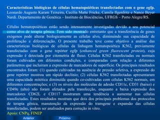 Características biológicas de células hematopoiéticas transfectadas com o gene egfp.  Leonardo Augusto Karam Teixeira, Cecília Matte Fricke, Camila Ilgenfritz e Nance Beyer Nardi. Departamento de Genética – Instituto de Biociências, UFRGS – Porto Alegre/RS. Células hematopoiéticas estão sendo intensamente investigadas devido a seu potencial como alvo de terapia gênica. Tem sido mostrado entretanto que a transferência de genes exógenos pode alterar biologicamente as células alvo, diminuindo sua capacidade de proliferação e diferenciação. O presente trabalho teve como objetivo a análise das características biológicas de células da linhagem hematopoiética K562, previamente transfectadas com o gene repórter egfp ( enhanced green fluorescent protein ), cuja expressão é detectada por citometria de fluxo. Células K562 transfectadas ou normais foram cultivadas em diferentes condições, e comparadas com relação a diferentes parâmetros que incluiram a expressão de marcadores de superfície. Os principais resultados encontrados foram: (1) quando cultivadas na ausência de pressão seletiva, a expressão do gene repórter mostrou um rápido declínio; (2) células K562 transfectadas apresentaram uma capacidade mitótica diminuída quando co-cultivadas com células K562 normais, em diferentes concentrações; e (3) os níveis das moléculas de adesão CD11c, CD31 (baixo) e CD49e (alto) não foram afetados pela transfecção, enquanto a baixa expressão dos marcadores CD62L e CD117 mostraram uma tendência a aumentar nas células transfectadas. Estes resultados mostram que dois dos principais problemas dos protocolos de terapia gênica, manutenção da expressão do transgene e expansão das células transfectadas, podem ser analisados para correção in vitro. Apoio: CNPq, FINEP 