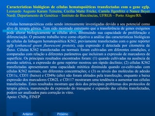 Características biológicas de células hematopoiéticas transfectadas com o gene egfp.  Leonardo Augusto Karam Teixeira, Cecília Matte Fricke, Camila Ilgenfritz e Nance Beyer Nardi. Departamento de Genética – Instituto de Biociências, UFRGS – Porto Alegre/RS. Células hematopoiéticas estão sendo intensamente investigadas devido a seu potencial como alvo de terapia gênica. Tem sido mostrado entretanto que a transferência de genes exógenos pode alterar biologicamente as células alvo, diminuindo sua capacidade de proliferação e diferenciação. O presente trabalho teve como objetivo a análise das características biológicas de células da linhagem hematopoiética K562, previamente transfectadas com o gene repórter egfp ( enhanced green fluorescent protein ), cuja expressão é detectada por citometria de fluxo. Células K562 transfectadas ou normais foram cultivadas em diferentes condições, e comparadas com relação a diferentes parâmetros que incluiram a expressão de marcadores de superfície. Os principais resultados encontrados foram: (1) quando cultivadas na ausência de pressão seletiva, a expressão do gene repórter mostrou um rápido declínio; (2) células K562 transfectadas apresentaram uma capacidade mitótica diminuída quando co-cultivadas com células K562 normais, em diferentes concentrações; e (3) os níveis das moléculas de adesão CD11c, CD31 (baixo) e CD49e (alto) não foram afetados pela transfecção, enquanto a baixa expressão dos marcadores CD62L e CD117 mostraram uma tendência a aumentar nas células transfectadas. Estes resultados mostram que dois dos principais problemas dos protocolos de terapia gênica, manutenção da expressão do transgene e expansão das células transfectadas, podem ser analisados para correção in vitro. Apoio: CNPq, FINEP 