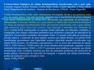 Características biológicas de células hematopoiéticas transfectadas com o gene egfp.  Leonardo Augusto Karam Teixeira, Cecília Matte Fricke, Camila Ilgenfritz e Nance Beyer Nardi. Departamento de Genética – Instituto de Biociências, UFRGS – Porto Alegre/RS. Células hematopoiéticas estão sendo intensamente investigadas devido a seu potencial como alvo de terapia gênica. Tem sido mostrado entretanto que a transferência de genes exógenos pode alterar biologicamente as células alvo, diminuindo sua capacidade de proliferação e diferenciação.  O presente trabalho teve como objetivo a análise das características biológicas de células da linhagem hematopoiética K562, previamente transfectadas com o gene repórter egfp ( enhanced green fluorescent protein ), cuja expressão é detectada por citometria de fluxo.  Células K562 transfectadas ou normais foram cultivadas em diferentes condições, e comparadas com relação a diferentes parâmetros que incluiram a expressão de marcadores de superfície. Os principais resultados encontrados foram: (1) quando cultivadas na ausência de pressão seletiva, a expressão do gene repórter mostrou um rápido declínio; (2) células K562 transfectadas apresentaram uma capacidade mitótica diminuída quando co-cultivadas com células K562 normais, em diferentes concentrações; e (3) os níveis das moléculas de adesão CD11c, CD31 (baixo) e CD49e (alto) não foram afetados pela transfecção, enquanto a baixa expressão dos marcadores CD62L e CD117 mostraram uma tendência a aumentar nas células transfectadas. Estes resultados mostram que dois dos principais problemas dos protocolos de terapia gênica, manutenção da expressão do transgene e expansão das células transfectadas, podem ser analisados para correção in vitro. Apoio: CNPq, FINEP 