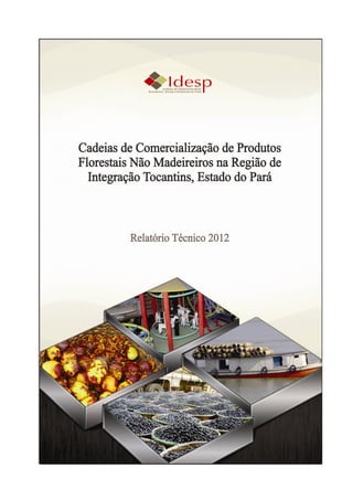 Cadeias de Comercialização de Produtos Florestais Não
Madeireiros na Região de Integração Tocantins, Estado do
                         Pará

                  RELATÓRIO TÉCNICO
                          2012




                       BELÉM – 012
 