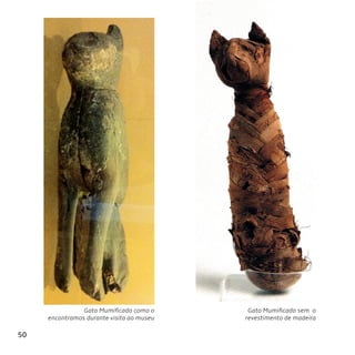 50
Gato Mumificado como o
encontramos durante visita ao museu
Gato Mumificado sem o
revestimento de madeira
 