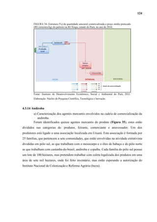 124


        FIGURA 34- Estrutura (%) da quantidade amostral comercializada e preço médio praticado
        (R$ correntes/kg) do palmito na RI Xingu, estado do Pará, no ano de 2010.




        Fonte: Instituto de Desenvolvimento Econômico, Social e Ambiental do Pará, 2011.
        Elaboração: Núcleo de Pesquisa Científica, Tecnológica e Inovação.


4.3.14 Andiroba
        a) Caracterização dos agentes mercantis envolvidos na cadeia de comercialização da
           andiroba.
        Foram identificados quinze agentes mercantis do produto (Figura 35), estes estão
divididos nas categorias de: produtor, feirante, comerciante e atravessador. Um dos
produtores está ligado a uma associação localizada em Uruará. Esta associação é formada por
25 famílias, que pertencem a sete comunidades, que estão envolvidas na atividade extrativista
divididas em pólo sul, as que trabalham com o mesocarpo e o óleo de babaçu e do pólo norte
as que trabalham com castanha-do-brasil, andiroba e copaíba. Cada família do pólo sul possui
um lote de 100 hectares, mas pretendem trabalhar com coleta legalizada dos produtos em uma
área de sete mil hectares, onde foi feito inventário, mas estão esperando a autorização do
Instituto Nacional de Colonização e Reforma Agrária (Incra).
 