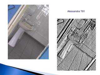 Alessandra T81
 