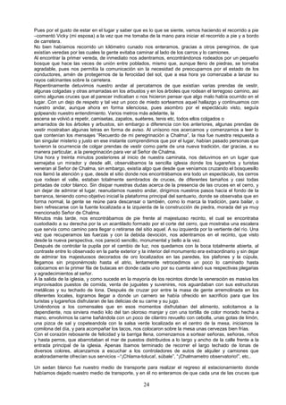 24
Pues por el gusto de estar en el lugar y saber que es lo que se siente, vamos haciendo el recorrido a pie
–comentó Vicky (mi esposa) a la vez que me tomaba de la mano para iniciar el recorrido a pie y a bordo
de carretera.
No bien habíamos recorrido un kilómetro cunado nos enteramos, gracias a otros peregrinos, de que
existían veredas por las cuales la gente evitaba caminar al lado de los carros y lo camiones.
Al encontrar la primer vereda, de inmediato nos adentramos, encontrándonos rodeados por un pequeño
bosque que hace las veces de unión entre poblados, mismo que, aunque lleno de piedras, se tornaba
agradable, pues nos permitía la comunicación sin la necesidad de preocuparnos por el estado de los
conductores, amén de protegernos de la ferocidad del sol, que a esa hora ya comenzaba a lanzar su
rayos calcinantes sobre la carretera.
Repentinamente detuvimos nuestro andar al percatarnos de que existían varias prendas de vestir,
algunas colgadas y otras amarradas en los arbustos y en los árboles que rodean el terregoso camino, así
como algunas cruces que al parecer indicaban o nos hicieron pensar que algo malo había ocurrido en el
lugar. Con un dejo de respeto y tal vez un poco de miedo sorteamos aquel hallazgo y continuamos con
nuestro andar, aunque ahora en forma silenciosa, pues asombro por el espectáculo visto, seguía
golpeando nuestro entendimiento. Varios metros más adelante, la
escena se volvió a repetir, camisetas, zapatos, suéteres, tenis etc, todos ellos colgados o
amarrados de los árboles y arbustos, sin embargo a diferencia con los anteriores, algunas prendas de
vestir mostraban algunas letras en forma de aviso. Al unísono nos acercamos y comenzamos a leer lo
que contenían los mensajes “Recuerdo de mi peregrinación a Chalma”, la risa fue nuestra respuesta a
tan singular misterio y justo en ese instante comprendimos que por el lugar, habían pasado personas que
tuvieron la ocurrencia de colgar prendas de vestir como parte de una nueva tradición, dar gracias, a su
manera particular, a la peregrinación para ver al Señor de Chalma.
Una hora y treinta minutos posteriores al inicio de nuestra caminata, nos detuvimos en un lugar que
semejaba un mirador y desde allí, observábamos la sencilla iglesia donde los lugareños y turistas
veneran al Señor de Chalma, sin embargo, existía algo que desde que veníamos cruzando el bosquesillo
nos llamó la atención y que, desde el sitio donde nos encontrábamos era todo un espectáculo, los cerros
que rodean el valle, estaban totalmente sembrados de cruces, de diferentes tamaños y casi todas
pintadas de color blanco. Sin disipar nuestras dudas acerca de la presencia de las cruces en el cerro, y
sin dejar de admirar el lugar, reanudamos nuestro andar, dirigimos nuestros pasos hacía el fondo de la
barranca, teniendo como objetivo inicial la plataforma principal del santuario, donde se observaba que en
forma normal, la gente se reúne para descansar o también, como lo marca la tradición, para bailar, o
bien refrescarse con la fuente localizada a la izquierda de la construcción de piedra, morada del ya muy
mencionado Señor de Chalma.
Minutos más tarde, nos encontrábamos de pie frente al majestuoso recinto, el cual se encontraba
custodiado a su derecha por la un acantilado formado por el corte del cerro, que mostraba una escalera
que servía como camino para llegar o retirarse del sitio aquel. A su izquierda por la vertiente del río. Una
vez que recuperamos las fuerzas y con la debida devoción, nos adentramos en el recinto, que visto
desde la nueva perspectiva, nos pareció sencillo, monumental y bello a la vez.
Después de controlar la pupila por el cambio de luz, nos quedamos con la boca totalmente abierta, al
contraste entre lo observado en la parte exterior y la interior del monumento era extraordinario y sin dejar
de admirar los majestuosos decorados de oro localizados en las paredes, los plafones y la cúpula,
llegamos sin proponérnoslo hasta el atrio, lentamente retrocedimos un poco lo caminado hasta
colocarnos en la primer fila de butacas en donde cada uno por su cuenta elevó sus respectivas plegarias
y agradecimientos al señor.
A la salida de la iglesia, y como sucede en la mayoría de los recintos donde la veneración es masiva los
improvisados puestos de comida, venta de juguetes y suvenires, nos aguardaban con sus estructuras
metálicas y su techado de lona. Después de cruzar por entre la masa de gente arremolinada en los
diferentes locales, logramos llegar a donde un carnero se había ofrecido en sacrificio para que los
turistas y lugareños disfrutaran de las delicias de su carne y su jugo.
Uniéndonos a los comensales que en esos momentos disfrutaban del alimento, solicitamos a la
dependiente, nos sirviera medio kilo del tan oloroso manjar y con una tortilla de color morado hecha a
mano, envolvimos la carne bañándola con un poco de cilantro revuelto con cebolla, unas gotas de limón,
una pizca de sal y copeteandola con la salsa verde localizada en el centro de la mesa, iniciamos la
comilona del día, y para acompañar los tacos, nos colocaron sobre la mesa unas cervezas bien frías.
Con el corazón rebosante de felicidad y la barriga llena, comenzamos a sortear señoras, señoras, niños
y hasta perros, que abarrotaban el mar de puestos distribuidos a lo largo y ancho de la calle frente a la
entrada principal de la iglesia. Apenas íbamos terminado de recorrer el largo techado de lonas de
diversos colores, alcanzamos a escuchar a los controladores de autos de alquiler y camiones que
acaloradamente ofrecían sus servicios –“¡Chlama-toluca!, súbale”, “¡Chalmametro observatorio!”, etc,.
Un sedan blanco fue nuestro medio de transporte para realizar el regreso al estacionamiento donde
habíamos dejado nuestro medio de transporte, y en él no enteramos de que cada una de las cruces que
 