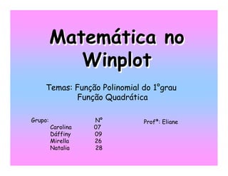 Relato Winplot Eliane M Cristovão 2008