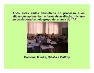 Relato Winplot Eliane M Cristovão 2008