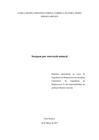 CAMILA BENINI, FERNANDA LORENA, GABRIELA SILVEIRA, MÁRIO
SÉRGIO LORENÇO
Secagem por convecção natural
Relatório apresentado ao curso de
Engenharia de Bioprocessos na disciplina
Laboratório de Engenharia de
Bioprocessos II sob responsabilidade do
professor Boutros Sarrouh.
Ouro Branco,
24 de Março de 2015
 