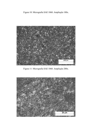 Figura 10: Micrografia SAE 1060. Ampliação 100x.




Figura 11: Micrografia SAE 1060. Ampliação 200x.
 