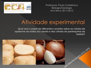 Professora: Paula Castelhano
     Biologia/Geologia
    Ano letivo 2011/2012
 