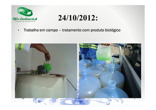 24/10/2012:
•

Trabalho em campo – tratamento com produto biológico

 