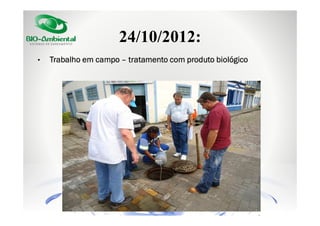 24/10/2012:
•

Trabalho em campo – tratamento com produto biológico

 