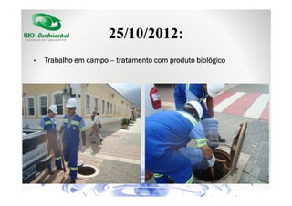 25/10/2012:
•

Trabalho em campo – tratamento com produto biológico

 