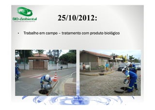 25/10/2012:
•

Trabalho em campo – tratamento com produto biológico

 