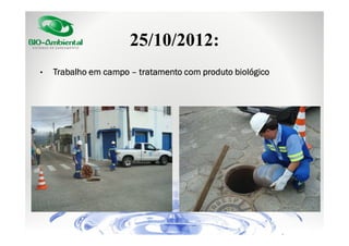 25/10/2012:
•

Trabalho em campo – tratamento com produto biológico

 