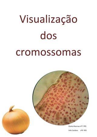 Visualização
       dos
  cromossomas




                                          1
                       Gisela Alvernaz nº7 9ºD
Ano letivo 2012/2013
Ciências Naturais      Inês Cardoso   nº9 9ºD
 