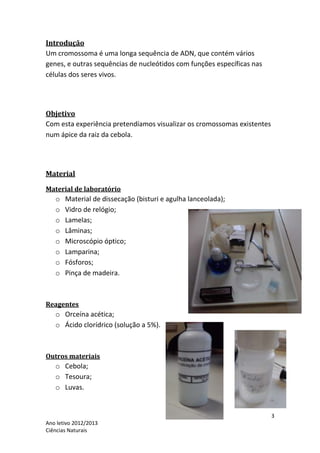Introdução
Um cromossoma é uma longa sequência de ADN, que contém vários
genes, e outras sequências de nucleótidos com funções específicas nas
células dos seres vivos.




Objetivo
Com esta experiência pretendíamos visualizar os cromossomas existentes
num ápice da raiz da cebola.




Material
Material de laboratório
   o   Material de dissecação (bisturi e agulha lanceolada);
   o   Vidro de relógio;
   o   Lamelas;
   o   Lâminas;
   o   Microscópio óptico;
   o   Lamparina;
   o   Fósforos;
   o   Pinça de madeira.



Reagentes
   o Orceína acética;
   o Ácido clorídrico (solução a 5%).



Outros materiais
   o Cebola;
   o Tesoura;
   o Luvas.


                                                                         3
Ano letivo 2012/2013
Ciências Naturais
 