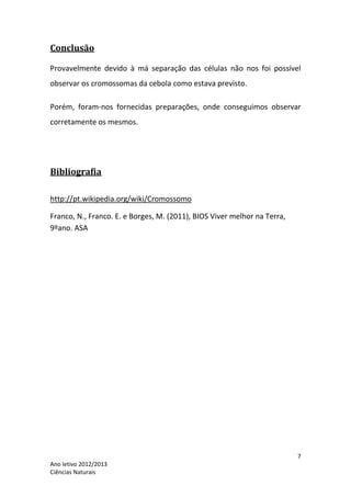 Conclusão

Provavelmente devido à má separação das células não nos foi possível
observar os cromossomas da cebola como estava previsto.

Porém, foram-nos fornecidas preparações, onde conseguimos observar
corretamente os mesmos.




Bibliografia

http://pt.wikipedia.org/wiki/Cromossomo

Franco, N., Franco. E. e Borges, M. (2011), BIOS Viver melhor na Terra,
9ºano. ASA




                                                                          7
Ano letivo 2012/2013
Ciências Naturais
 