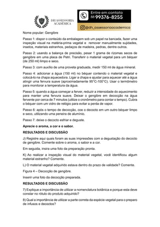 RELATÓRIO- Preparo de Chás, Infusões e Decoctos.pdf