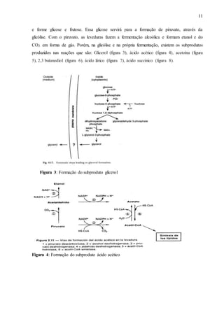11
e forme glicose e frutose. Essa glicose servirá para a formação de piruvato, através da
glicólise. Com o piruvato, as leveduras fazem a fermentação alcoólica e formam etanol e do
CO2 em forma de gás. Porém, na glicólise e na própria fermentação, existem os subprodutos
produzidos nas reações que são: Glicerol (figura 3), ácido acético (figura 4), acetoína (figura
5), 2,3 butanodiol (figura 6), ácido lático (figura 7), ácido succinico (figura 8).
Figura 3: Formação do subproduto glicerol
Figura 4: Formação do subproduto ácido acético
 