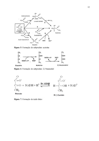 12
Figura 5: Formação do subproduto acetoína
Figura 6: Formação do subproduto 2,3 butanodiol
Figura 7: Formação do ácido lático
 