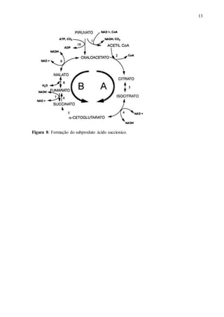 13
Figura 8: Formação do subproduto ácido succionico.
 
