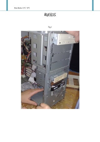 Rita Bicho 11ºC Nº9

                      ANEXOS

                        Fig.1
 