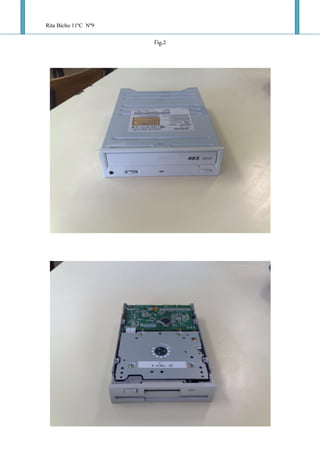 Rita Bicho 11ºC Nº9
                      Fig.2
 