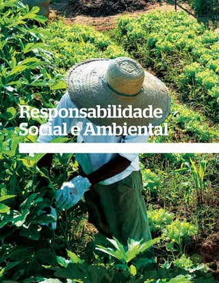 Responsabilidade
Social e Ambiental




74              RESPONSABILIDADE SOCIAL E AMBIENTAL
 