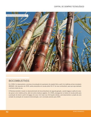 CaPital De Domínio teCnológiCo



Cana-de-açúcar, uma das matérias-primas usadas pela
Petrobras no desenvolvimento de biocombustíveis




     biocombustíveis
     em 2008, foi desenvolvido o processo de produção de querosene de aviação feito a partir de matérias-primas renováveis
     (BioQav). até dezembro de 2009, serão produzidos em escala piloto 50 m3 do novo combustível, para que seja realizado
     o primeiro teste de voo.

     a Petrobras também investe no desenvolvimento de biocombustíveis de segunda geração, usando bagaço e palha de cana-
     de-açúcar como matéria-prima, além de outros resíduos vegetais. em 2008, prosseguiram os testes em escala piloto para
     a produção de etanol a partir de bagaço-de-cana. Com base nas informações obtidas, será desenvolvido o projeto de uma
     unidade de produção em escala de demonstração, com conclusão prevista para 2009.




92                                                                                                          at i V o S i n ta n G Í e ie io
                                                                                                                                    V xS
 